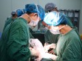 女性生理结构，女性生理构造结构图解图片