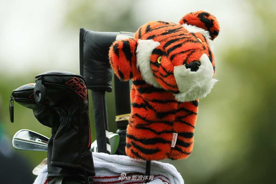 经典红衫背影坚定前行，迈向挑战与荣耀交织的未知战场