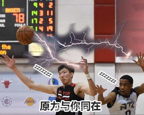 沃尔科特半个身子探出灌满凉水的垃圾桶，眼神里写满对上海高温的绝望，仿佛在说：这条命是垃圾桶给的。