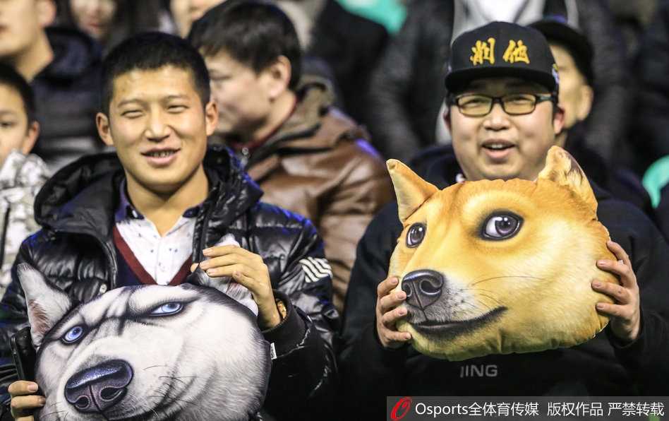 赛场边的广告牌上，一群穿着白色助威T恤的小球迷格外引人注目，他们整齐地站成一排，用稚嫩的双手为场上的球员鼓掌加油，稚嫩的脸庞上写满了认真与投入。