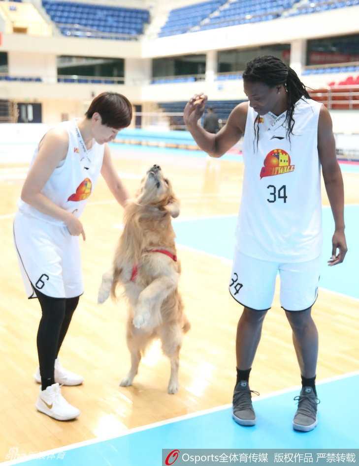 金兰携瑞犬,京城展英姿:北京女篮新春写真定格柔情与霸气 史秀峰轻抚怀中小犬的下巴,笑容灿烂如邻家姐姐,让人忘却她是在总决赛投中关键压哨球的冷血杀手。