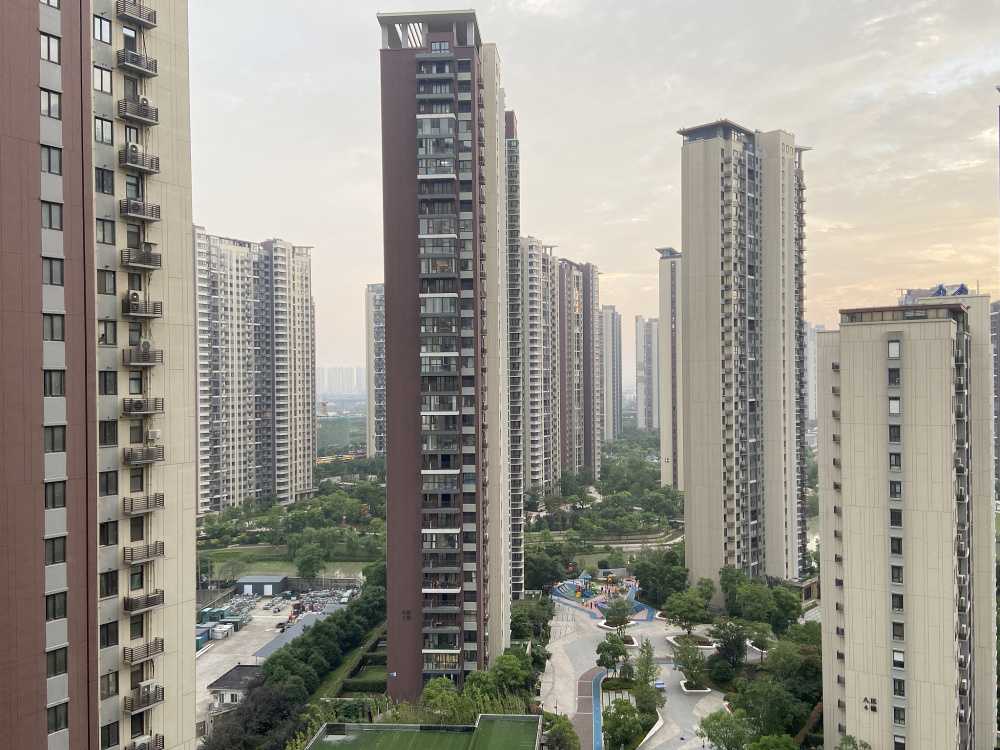 比兰尼对本菲卡比分预测：跨级对决，黑马能否撼动葡超不败霸主？